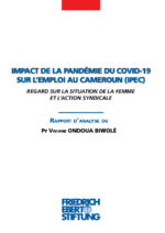 Impact de la pandémie du Covid-19 sur l'emploi au Cameroun (IPEC)