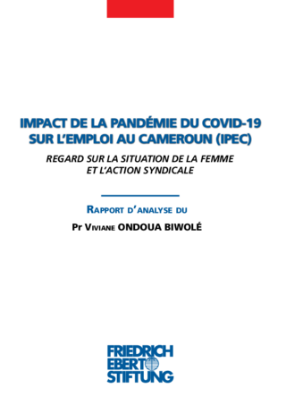 Impact de la pandémie du Covid-19 sur l'emploi au Cameroun (IPEC)