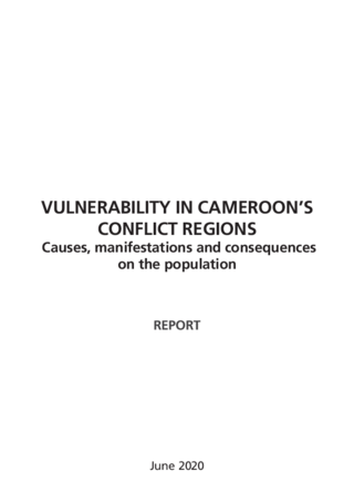Vulnerability in Cameroon's conflict regions