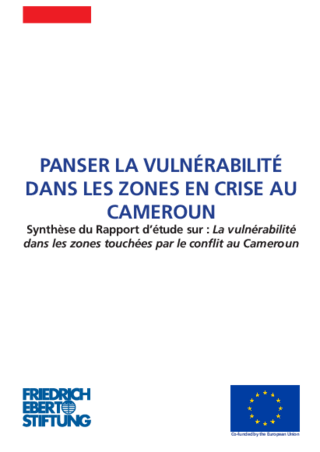 Panser la vulnérabilité dans les zones en crise au Cameroun